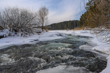 Winter sunny landscape. An unfrozen river with a turbulent current on a frosty winter day. The shores are covered with glistening ice and pure white snow. A tall pine forest is visible in the distance