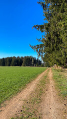 Schwarzwald im Frühling 2021