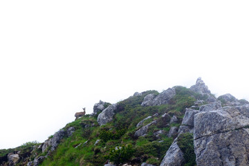 rock in the mountains