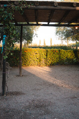 Amanecer Mendoza Argentina