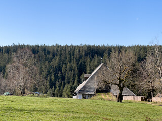 Schwarzwald im Fr&uuml;hling 2021