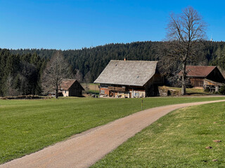 Fototapeta na wymiar Schwarzwald im Frühling 2021