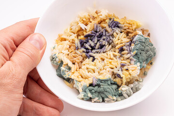 mold on rice, spoiled food  in a bowl, moldy food
