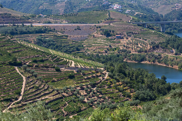 Aerial view at the Douro river, typical landscape of the highlands in the north of Portugal, levels for agriculture of vineyards, olive tree groves