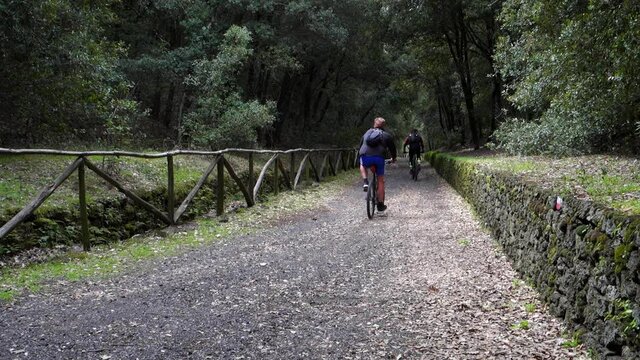 outdoor activities in the nature of Sicily mountain bikers down a wooded path of Etna Park 