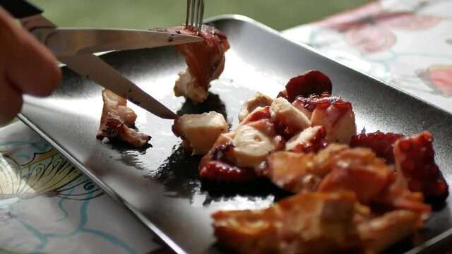 Delicious image of octopus barbecue from the northern coasts of Spain