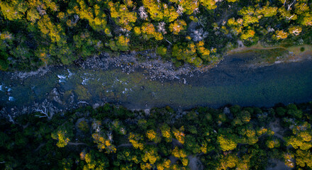 vista cenital de un rio del sur argentina, abriéndose camino entre las montañas y el bosque con...