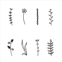 set of botanial and floral hand drawn cliparts illustration vector, doodle line art for nature element design