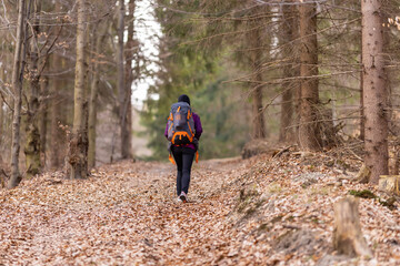 Woman with backpack traveling in forest. Female walks in mountains. Rear view.