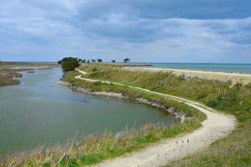 Polder de Sébastopol, réserve naturelle, île de Noirmoutier, Vendée, France