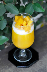 mango smoothie or mango yogurt smoothie with mango