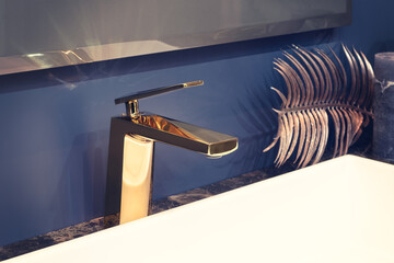 Retro classic  bathroom dark blue interior, clean bright stylish designer retro  bathroom