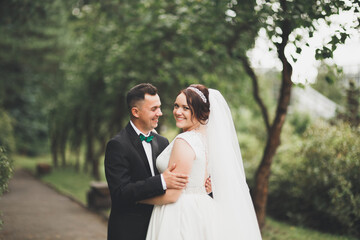 Perfect couple bride, groom posing and kissing in their wedding day