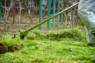  A man in work clothes mows tall grass with a trimmer,hand-held lawn mower  in the garden Gardener mowing  the long grass on the lawn in the garden.