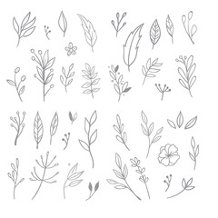 Flowers and leaves doodle collection. Hand drawn floral ornaments. Decorative plants illustrations.