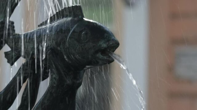 Daytime shot of "Fountain of youth" by Sead Ekmecic in Brcko district, Bosnia and Herzegovina Fontana mladosti, Trg mladih