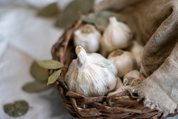 Garlic cloves on a wooden vintage background.