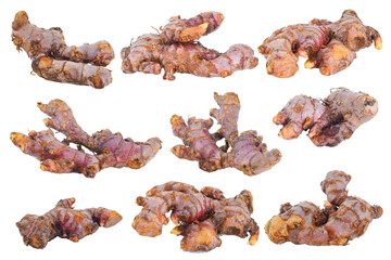 Set Collection Fresh Red Ginger root isolated on white background.