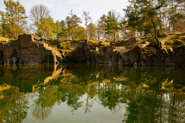 Fototapeta na wymiar Trees on a rock reflecting on a lake