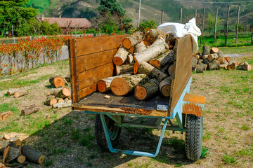 firewood in the car trailer close-up on the backyard. Wood chopping process. Countryside life.