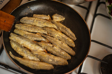 capelin in a pan fried in corn flour, Mallotus villosus - sea ray-finned fish of the smelt family, simple homemade food fried fish, simple homemade food concept, home cooking