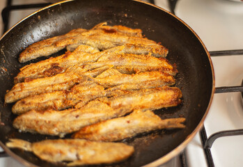 capelin in a pan fried in corn flour, Mallotus villosus - sea ray-finned fish of the smelt family, simple homemade food fried fish, simple homemade food concept, home cooking