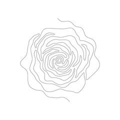 One line drawing of frontal rose