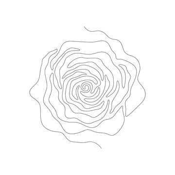 recommend clip art: One line drawing of frontal rose