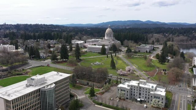 Cinematic aerial drone dolly footage of the springtime cherry blossoms at the Washington State Capitol Building and Campus, Capitol Lake, Tivoli Fountain and surrounding park in Olympia, Washington