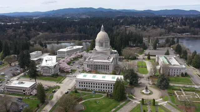 Cinematic aerial drone dolly  footage of the springtime cherry blossoms at the Washington State Capitol Building and Campus, Capitol Lake, Tivoli Fountain and surrounding park in Olympia, Washington