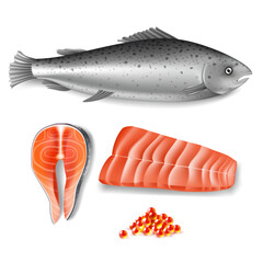 Salmon fish, steak, caviar set. Raw meat food vector illustration. Slice of fillet, fresh seafood elements isolated on white background. Cuisine for kitchen cooking from nature