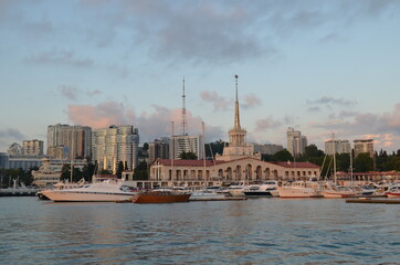 Fototapeta premium russia, krasnodar region, sochi