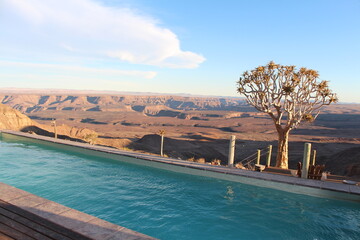 sunset with quiver tree in the foregound