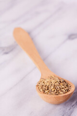 Fennel Seeds