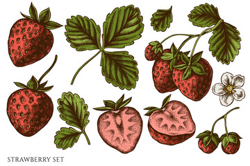 Vector set of hand drawn colored strawberry