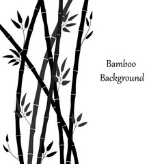 Bamboo forest illustration. Vector background with bamboo stems and leaves. Graphics, black silhouette of plants on white. Template for banner, cover, advertisement, internet story, print on mug