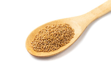 Closeup of mustard seed on a wooden spoon isolated over white background