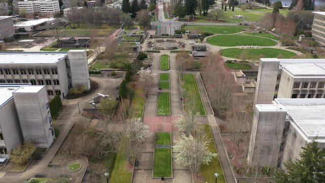 Cinematic aerial drone reveal clip of the springtime cherry blossoms at the Washington State Capitol Building and Campus, Capitol Lake, Tivoli Fountain and surrounding park in Olympia, Washington