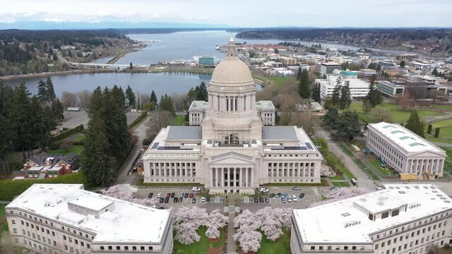 Cinematic aerial drone footage of the springtime cherry blossoms at the Washington State Capitol Building and Campus, Capitol Lake, with a panoramic view of Historic District in Olympia, Washington