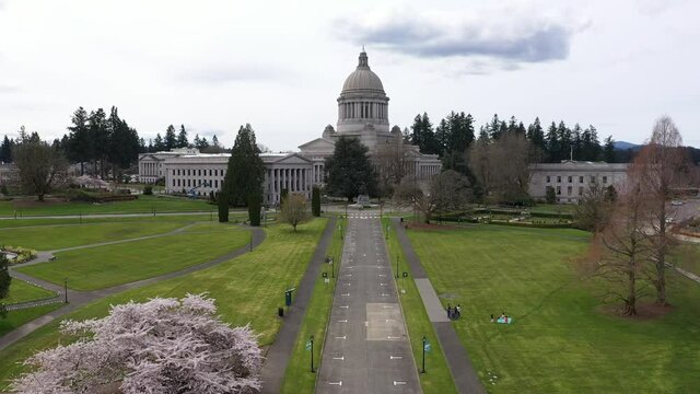 Cinematic aerial drone perspective of the springtime cherry blossoms at the Washington State Capitol Building and Campus, Capitol Lake, Tivoli Fountain and surrounding park in Olympia, Washington
