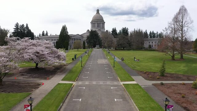 Cinematic aerial drone reveal footage of the springtime cherry blossoms at the Washington State Capitol Building and Campus, Capitol Lake, Tivoli Fountain and surrounding park in Olympia, Washington
