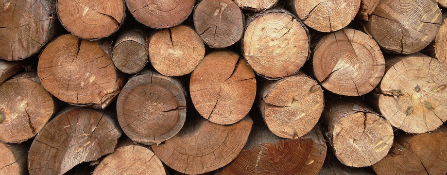 stack of firewood