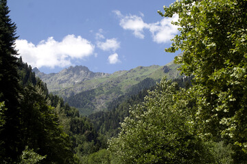 Obraz premium landscape with clouds