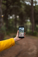 Girl's hand with a smartphone taking a photo of the forest.