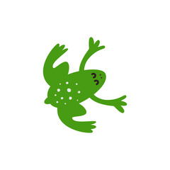 Little frog. Vector illustration of a cute little frog