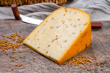 Cheese collection, piece of hard yellow Dutch gouda cheese with dried fenugreek seeds