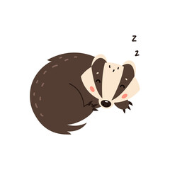 Badger on a white background. Forest animal. Vector illustration of Brock mammal species
