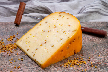 Cheese collection, piece of hard yellow Dutch gouda cheese with dried fenugreek seeds
