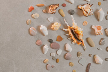 Many seashells and sea pebbles on golden sand. Summertime, vacation, travel and tourism concept - seashell lie on beach sand, copy space, flat lay background