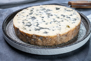 Cheese collection, piece of French blue cheese fourme d'ambert